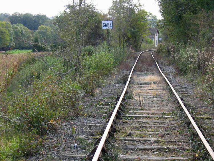 09
